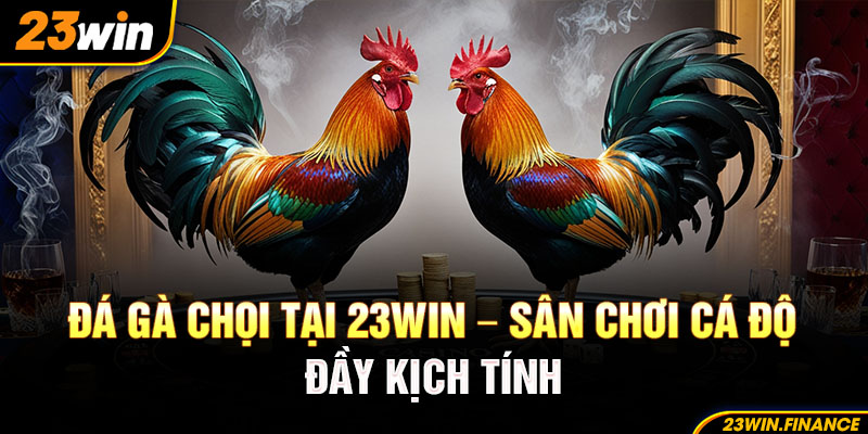 Đá Gà Chọi Tại 23Win – Sân Chơi Cá Độ Đầy Kịch Tính